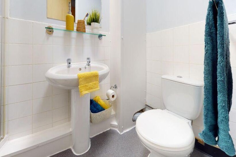 Bronze En Suite Plus at Brocco,  iQ... 1 bed in a flat share to rent - £533 pcm (£123 pw)